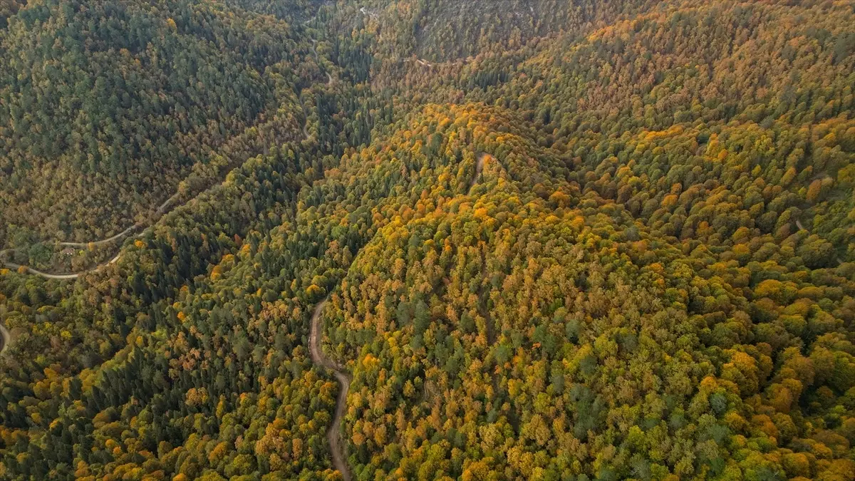 Zonguldak’ta Sonbahar Güzelliği